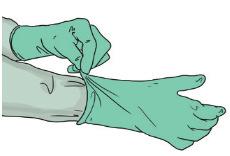 In order to protect the wrist area from contamination, the inner glove should be worn under the cuff of the gown/coveralls (and under any thumb/finger loop) whereas the outer glove should be worn
