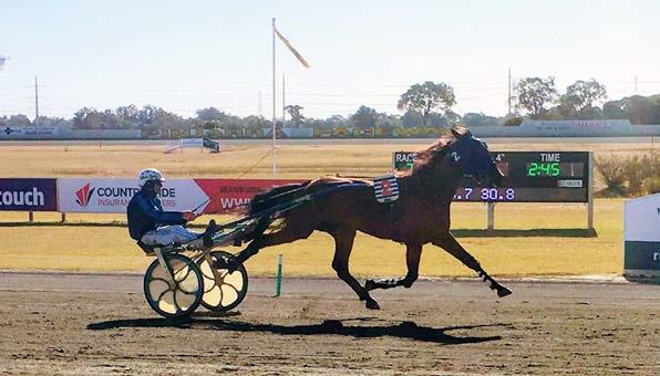 RWWA JUVENILE TROTTERS TRANSITION SERIES 5.