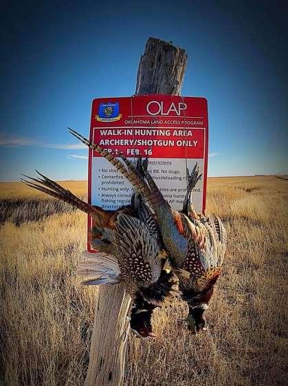 OLAP Overview Landowner can enroll for hunting, fishing, stream access, and/or wildlife-viewing.
