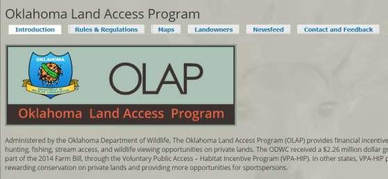 OLAP Webpage: