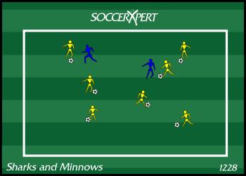 Sharks and Minnows Dribbling, sharks minnows, shielding, turning, youth soccer drill, fun soccer drill, free soccer drill, dribbling This drill focuses on the U6 and U8 player and their ability to