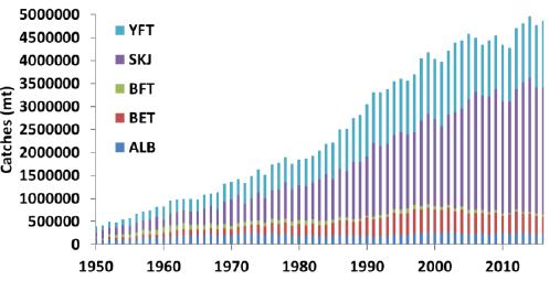 Global trends in in (tonnes) of major commercial tuna, by species 1950-2016 57% skipjack