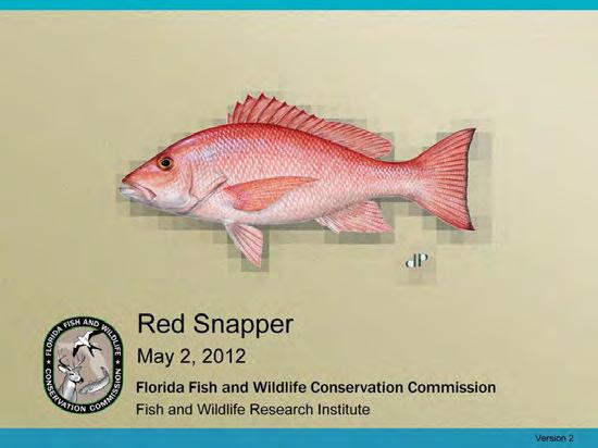 Update: This document has been updated to include biological information on red snapper and information from the recent Gulf