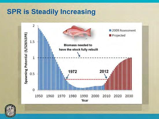 But the good news is that the rebuilding plan is progressing well and red snapper abundance in the Gulf is back at levels not seen in the last 40 years.