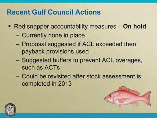 At the recent Gulf Council meeting, the Council reviewed a scoping document on red snapper provisions for overage adjustments. All actions are currently on hold.
