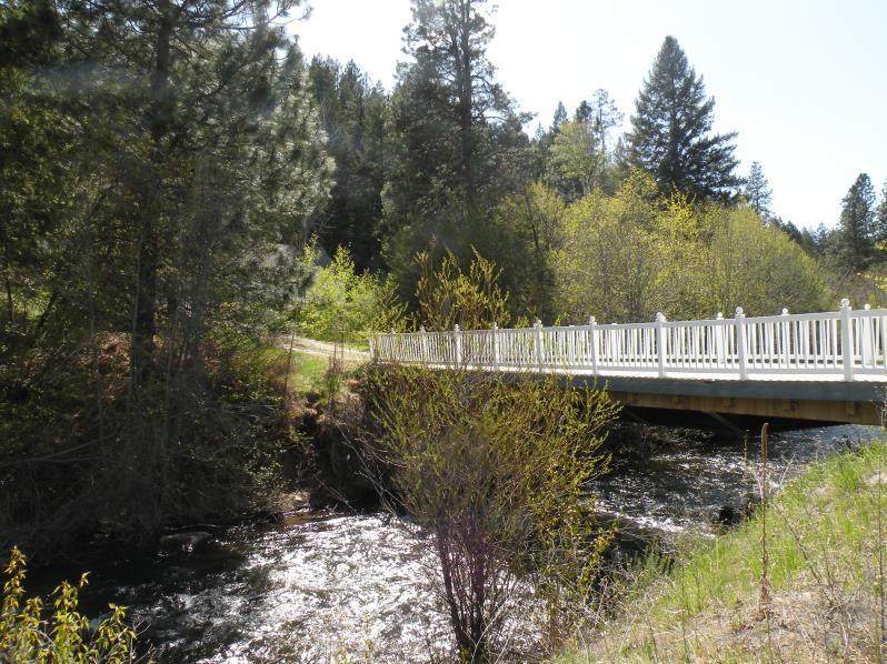 southeast of Hamilton Cutthroat, Brown and Rainbow Trout Fishing on Skalkaho Creek Noted Elk