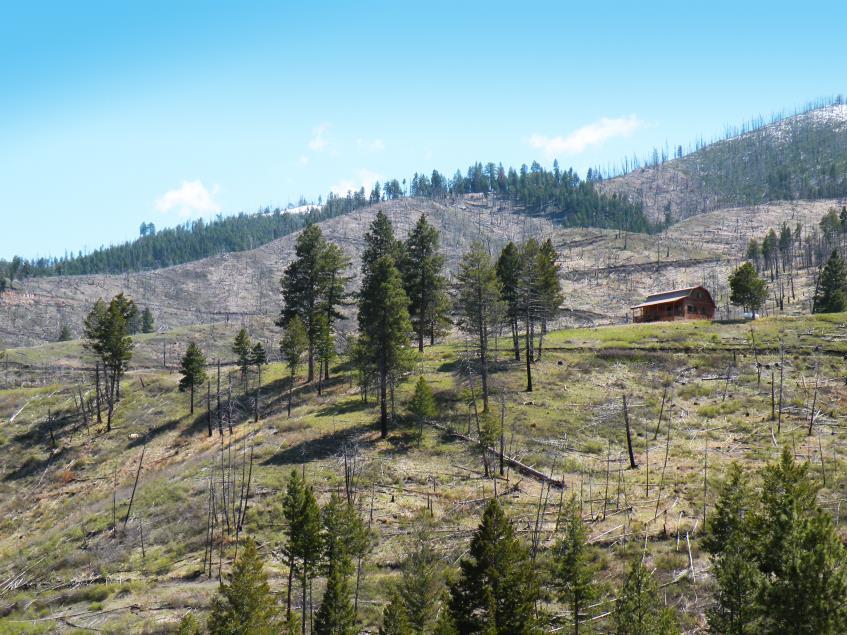RANCH SIZE: The Bitterroot Valley Privacy Ranch contains a total of 199.89 +/- deeded acres which borders National Forest.