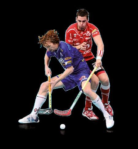 Why Move into Floorball Agile, Flexible and Adaptable organisation Contact to a challenging market segment 15 30 yrs old Average age of the Spectators in the Arena is around 25 yrs Increasing market