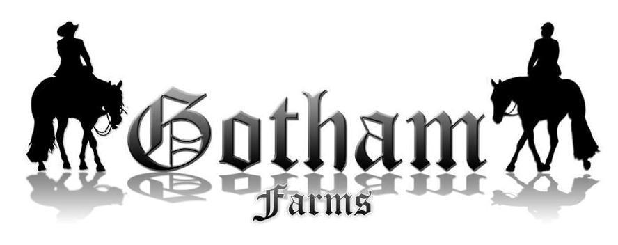 Gotham Farms breeds and trains horses for all disciplines and