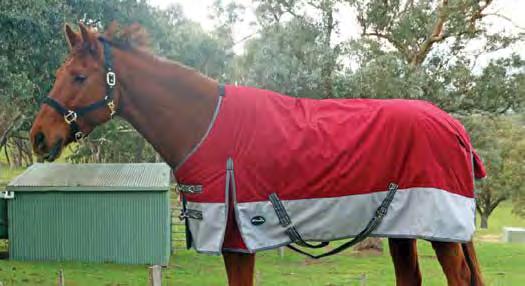 95 COMBO were $95.00 NOW $85.50 SHOWCRAFT WINTER RIPSTOP COMBO AND RUG 4 3-6 9 22.5 oz (640 gsm) canvas. Excellent high grade canvas with strong polyester grids that provide extra fabric strength.