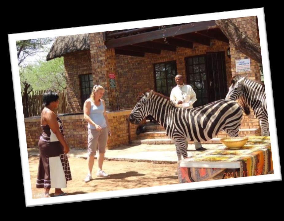 from TASA Luxury Kruger Lodge)