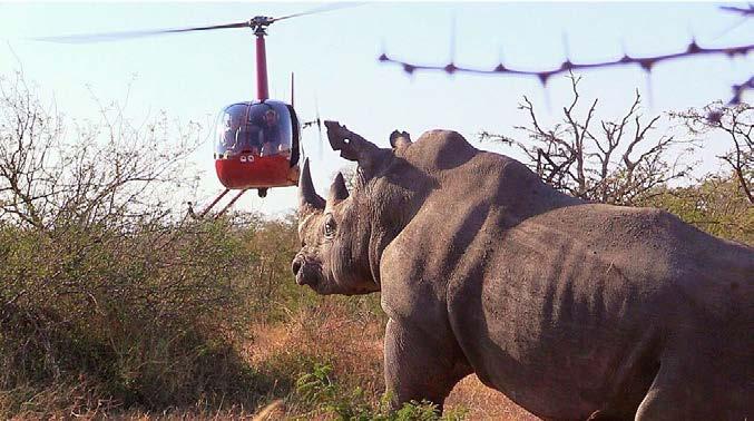 National Park and get a first-hand experience out in the field assisting with rhino