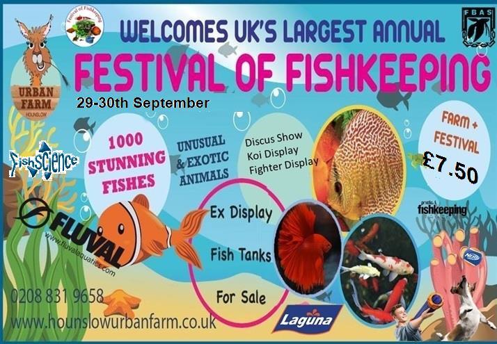 Hounslow Urban Farm in Feltham will host the 32 nd Festival of Fishkeeping for the sixth time on the weekend of 29-30 September.