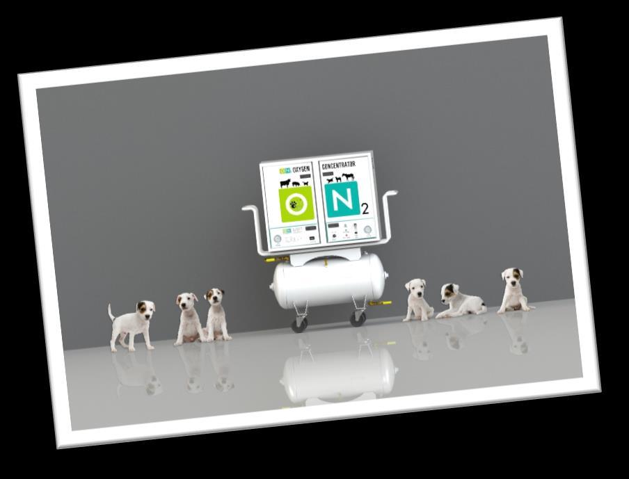 THE ON 2 ADVANTAGE Never Run Out of Oxygen Again On Site Gas Generation custom designed for Veterinary Medicine Reliability and Cost Efficiency Our engineers have designed and built a series of