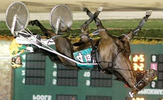 His 2013 2-year-old crop includes 42 winners with 10 in 1:55 led by the pair of INSS Gold Champions Color s A Virgin p,2,1:53.