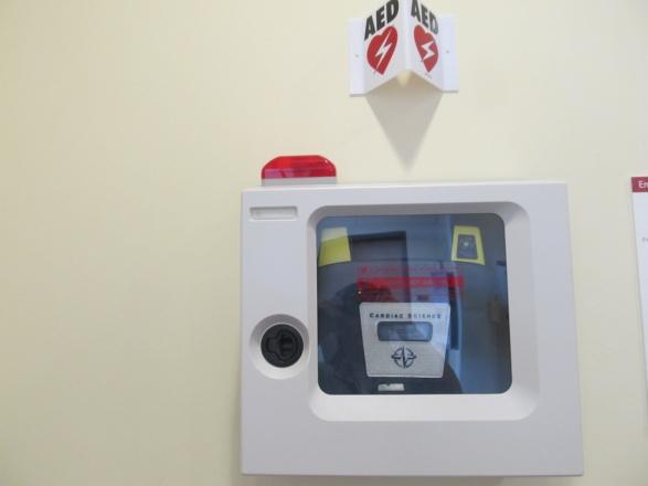 Portable AED for camps and