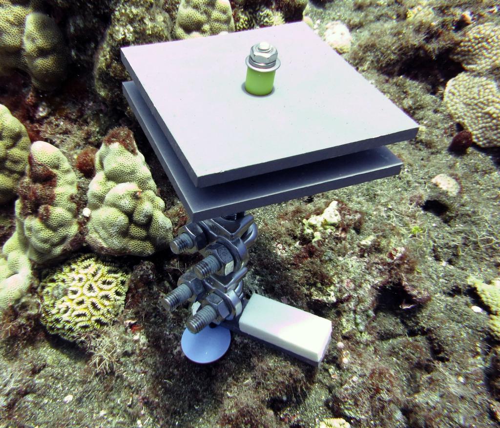 stainless steel stake to the reef must be placed prior to the BMU being secured to the stake.