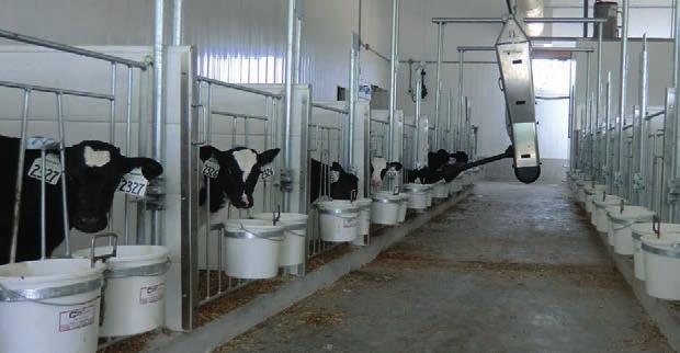 The feed entitlement LED indicates whether the particular calf is currently entitled to feed. An LED light strip attached to the CalfRail makes after-dark animal control easier.