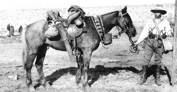 The Light Horse Men... The success in the Sinai was largely due to the combination of courageous men and their sturdy horses.