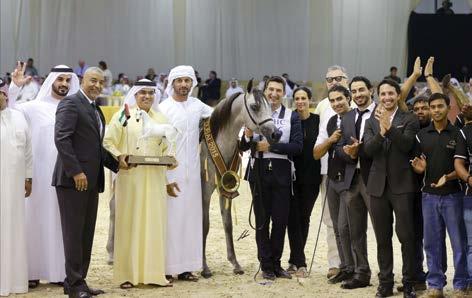 Breeder/Owner: DUBAI ARABIAN HORSE