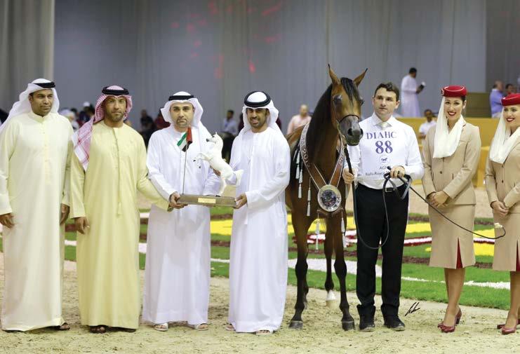 AJ SAWARI Silver Medal Junior Fillies MARWAN AL SHAQAB x SIBERIA SA