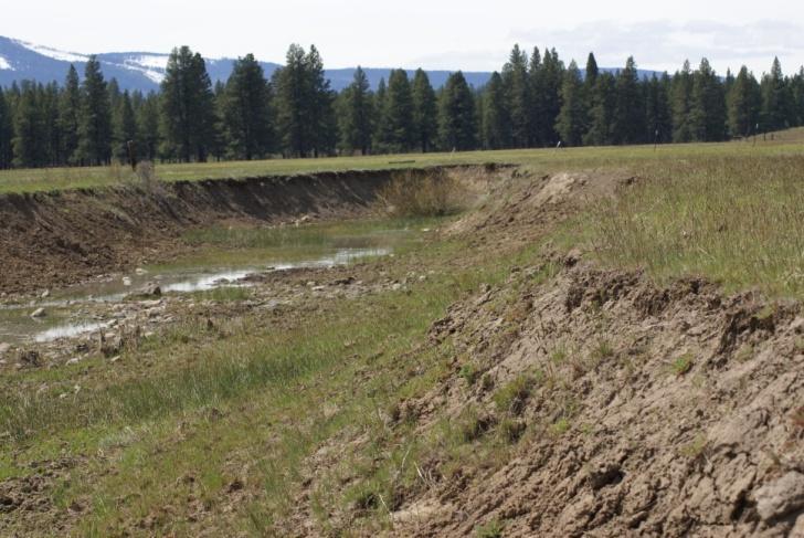 Existing and Expected Site Conditions: Coyote Creek - Meadow Improvements Stream erosion in Coyote Creek has resulted in nearly vertical banks up to 3 m deep (widths greater than 10 m), creating
