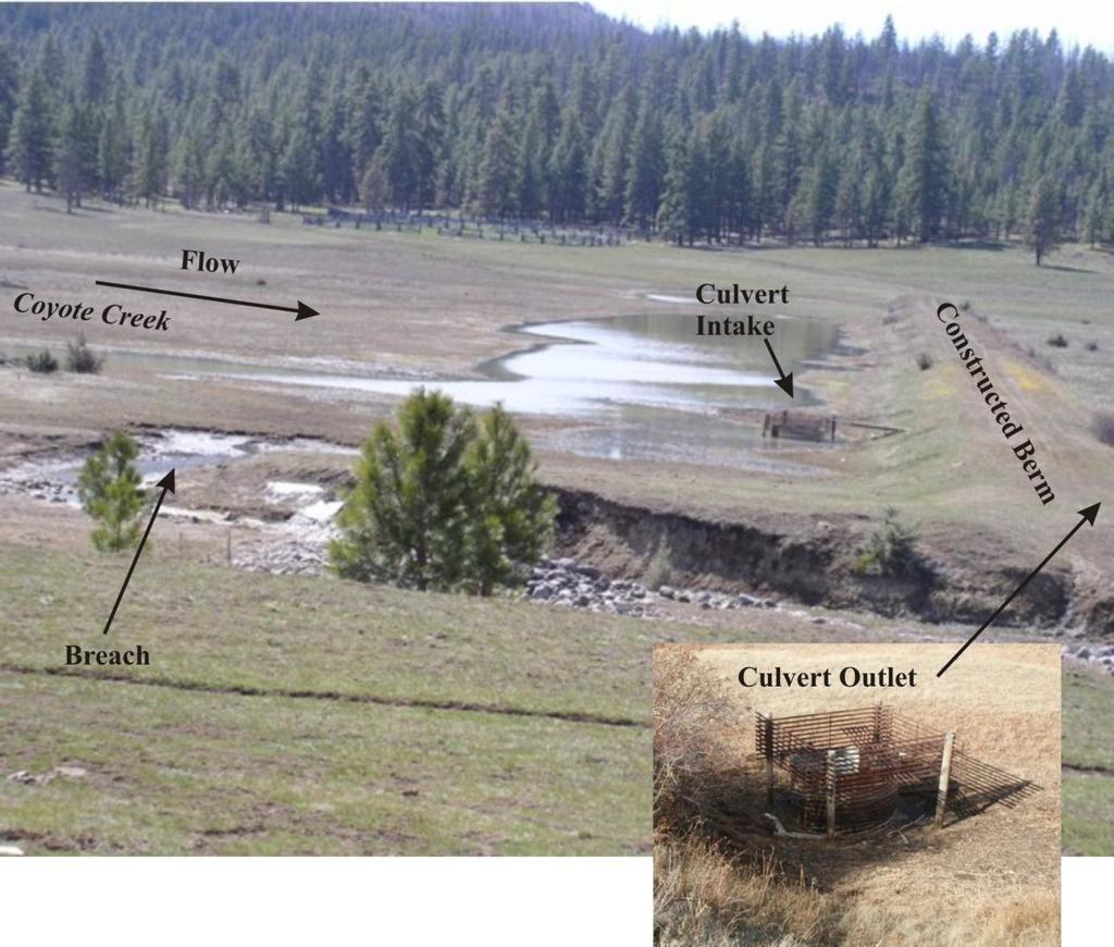 Figure 11. Berm breached at Log Springs Meadows, Coyote Creek Subwatershed, lower Deschutes River Subbasin, Oregon.