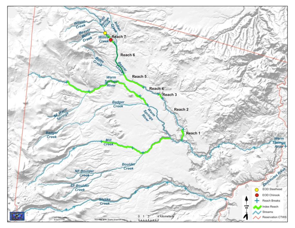 more productive spawning grounds in Beaver Creek while downstream reaches (rkm 0 to 20) are considered marginal.