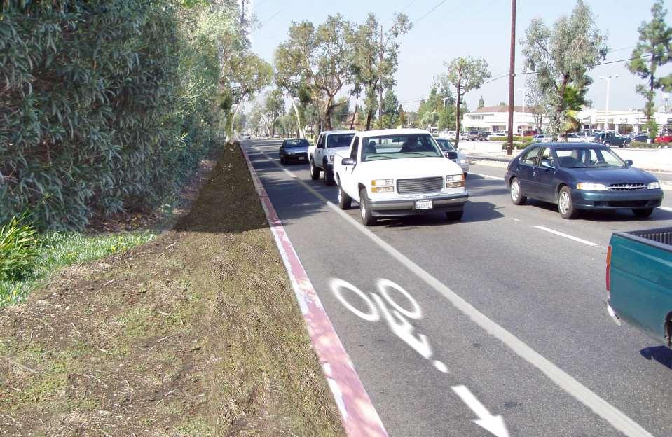 landscape to median trail and buffer, and bike south