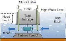 The water flows through tunnels that are built. 3. The ebb and flow (back and forth rocking) of the water turns turbines. 4. Those turbines are used to make electricity.