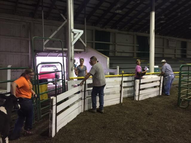 All calves evaluated by a 3 rd party paid by Fair Board to determine