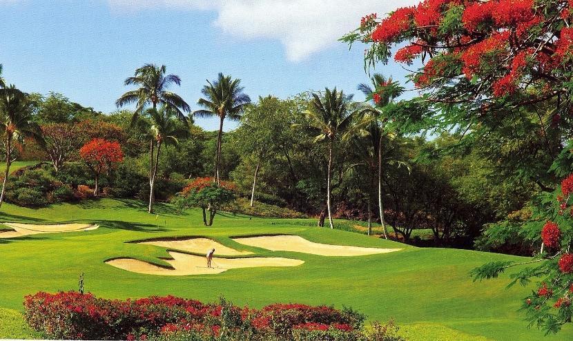 Wailea's stunning Emerald Course is a golfer's tropical paradise, and this thoroughly enjoyable par 72 offers a fair test of golf accented by lush landscaping and magnificent ocean views from every