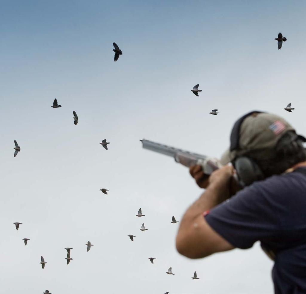 THE SHOOTING ordoba is considered the dove Cshooting capital of the world. The 100 square mile radius (160 km) around the lodge is anually inhabited by over 40.000.000 million doves.