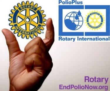 Participating in the Rotary Global Swimarathon over the past five years has been an amazing
