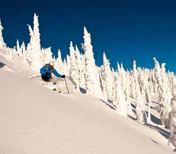 You can start by leaving your gear at home and get fitted with one of our High Performance Rental packages, optimized for the steeps and bottomless powder of the
