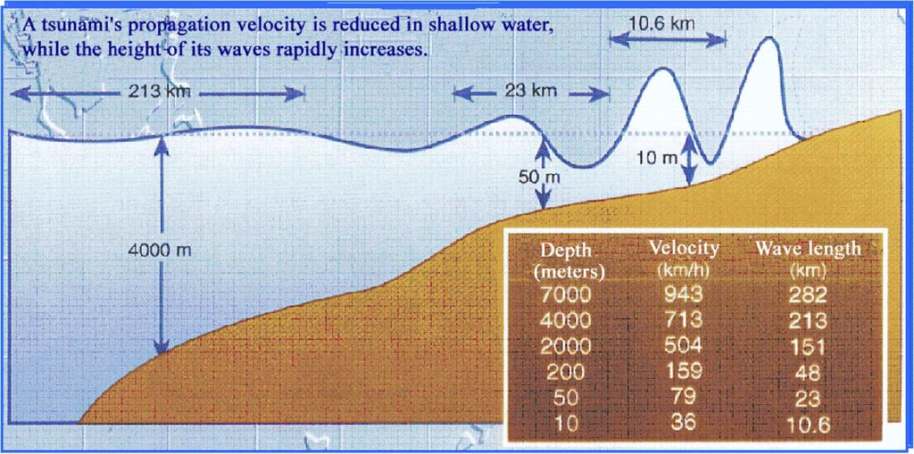Tsunamis and the Ocean Floor The physics behind a tsunami wave In deep water the wave is barely noticeable.