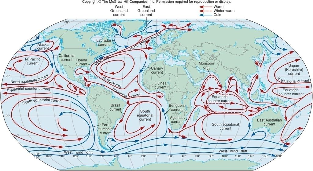 SURFACE OCEAN CIRCULATION KEY Currents are designated warm and cold by their source region, not their