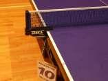 Equipment: Tables: 16 DHS T 1223, Blue 8 wheelchairs accessible, ITTF