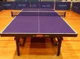 DHS P104/106, ITTF approved Surroundings: Local Balls: DHSS40 ***