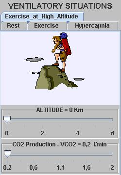 A representative animated picture is shown in each tab: a person seated in a bench when a resting condition is simulated (Figure 4a), a climber at the top of a mountain for exercise at high altitude