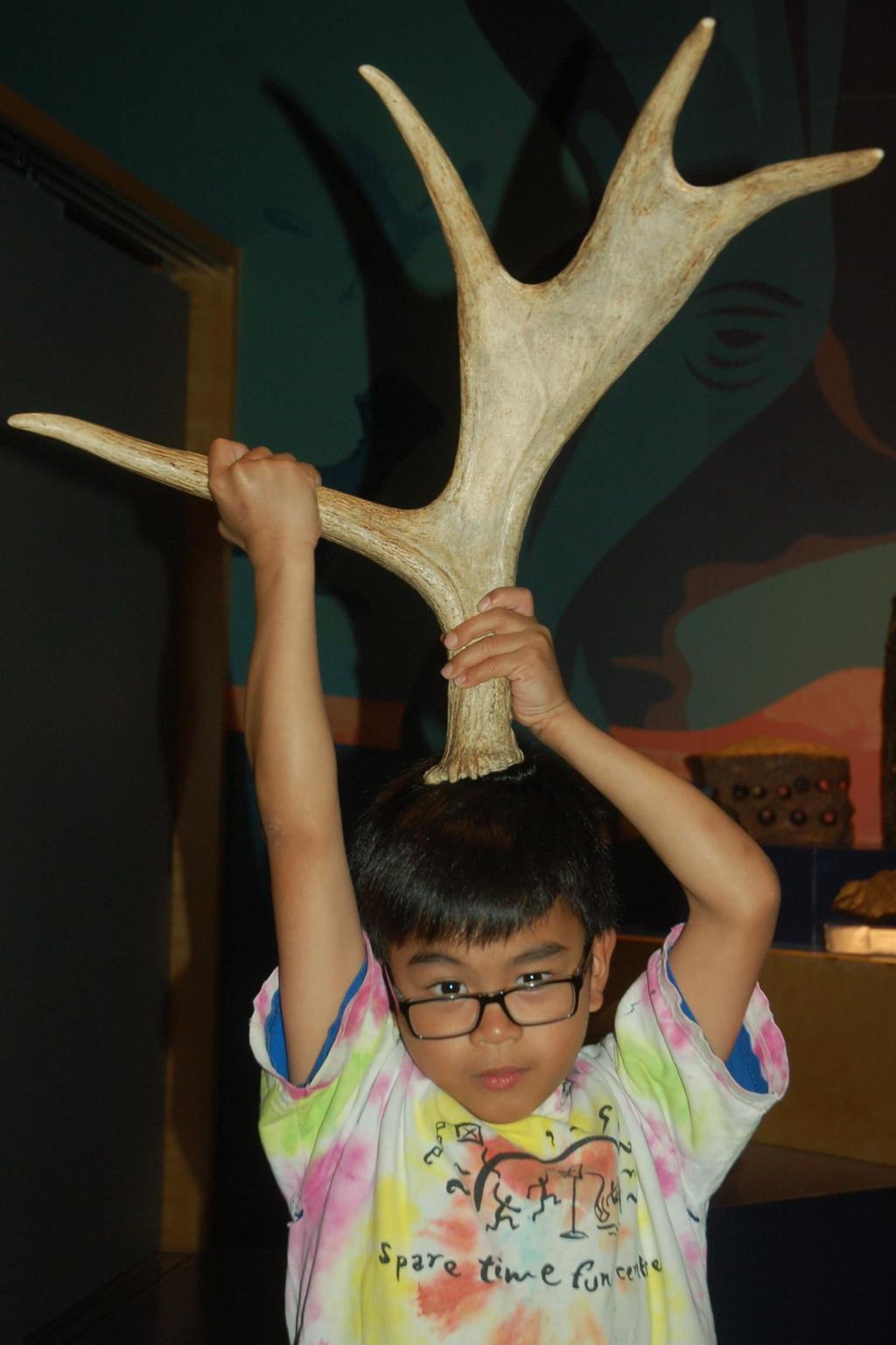 Deer me By Aizen (Discovery Club) The antlers at Science World are very heavy.