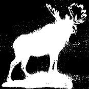Moose Messenger May, June, July, August, 2016 Volume 28, No 2 Published by Lewistown Lodge 143, Loyal Order of Moose 80 Brady Lane, Lewistown Pa 17044 Phone (717) 242-1251 ** Lodge Meetings ** 1 st &