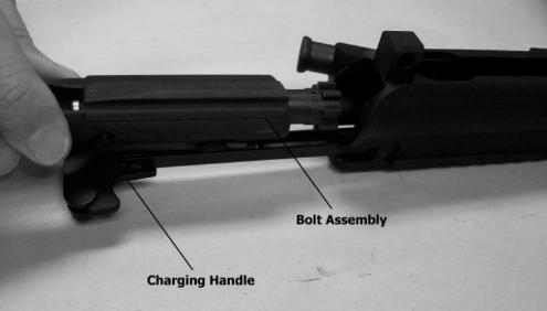 To disengage and remove the bolt assembly, pull the charging handle back and remove the bolt assembly (figure 10). 5.