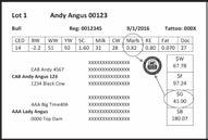 specifications of the Certified Angus Beef brand.
