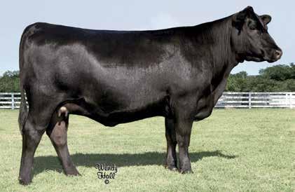 SJH Complete of 6108 1564 / Dam of Lots 95A and 95B.