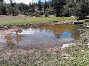 Drought Limited run-off can lead to