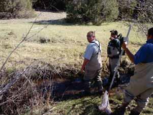 Whiskey Creek Brown Trout Removal Remove Brown trout from Whiskey Creek to reduce competition with and predation on