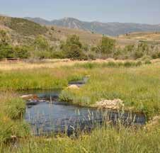 In addition to the Provo River, there is over 1 mile of private spring creek including 8 distinct oxbow ponds.
