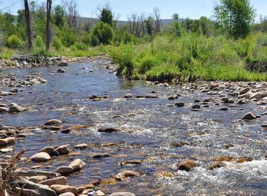 The Freestone River Ranch is the perfect retreat for any outdoor enthusiast looking for exclusively FREESTONE RIVER RANCH SUMMARY private fishing with 3 different fishery settings, as well as