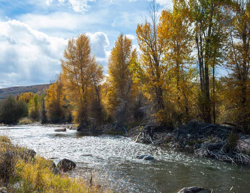 Conservation Easement: Given the rich recreational diversity of the Freestone River Ranch with its proximity to one of the country s most sought after and ever growing ski resort towns, the ranch